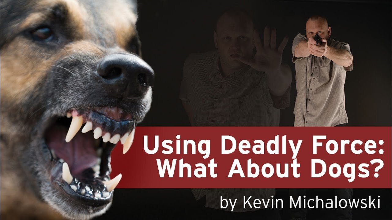 Deadly Force Using Dogs: Into the Fray Episode 19