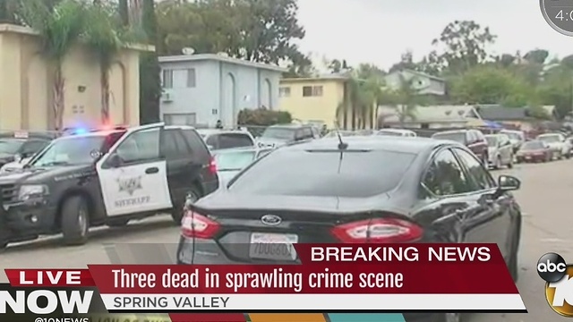 Three dead in Spring valley shooting