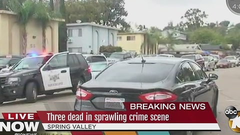 Three dead in Spring valley shooting