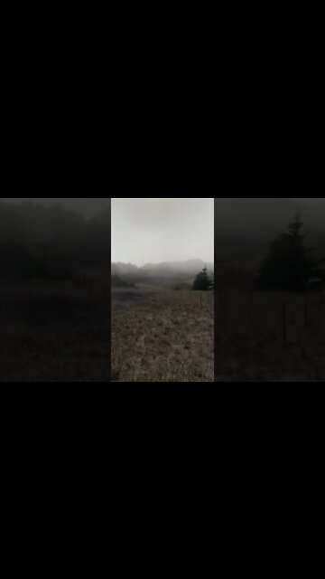 Fog coming from the beach