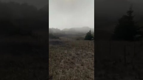 Fog coming from the beach