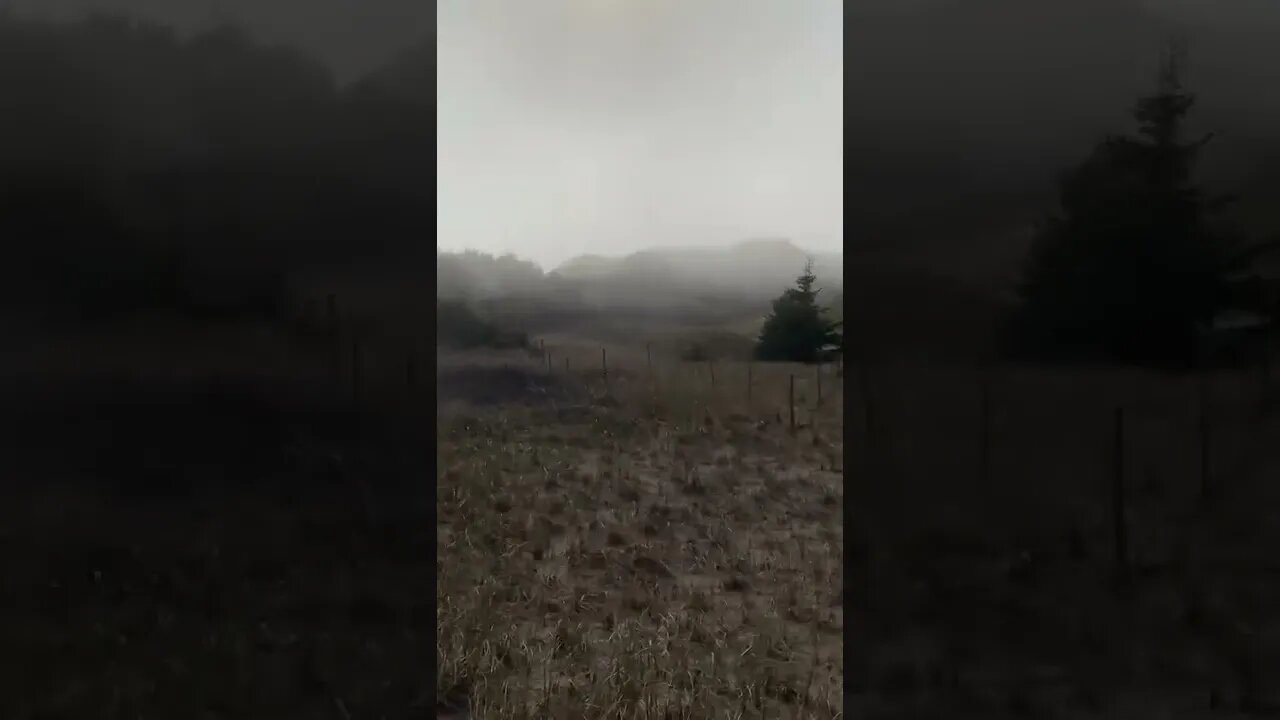 Fog coming from the beach