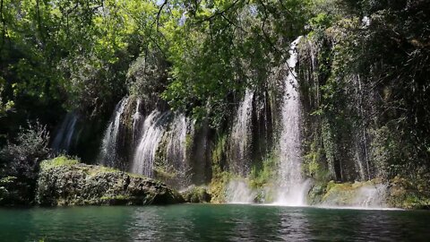 The sound of the waterfall and the singing of birds. Sounds of the forest for sleep. Relax atmosphere