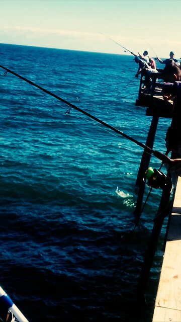 Bluefishing on an OBX pier