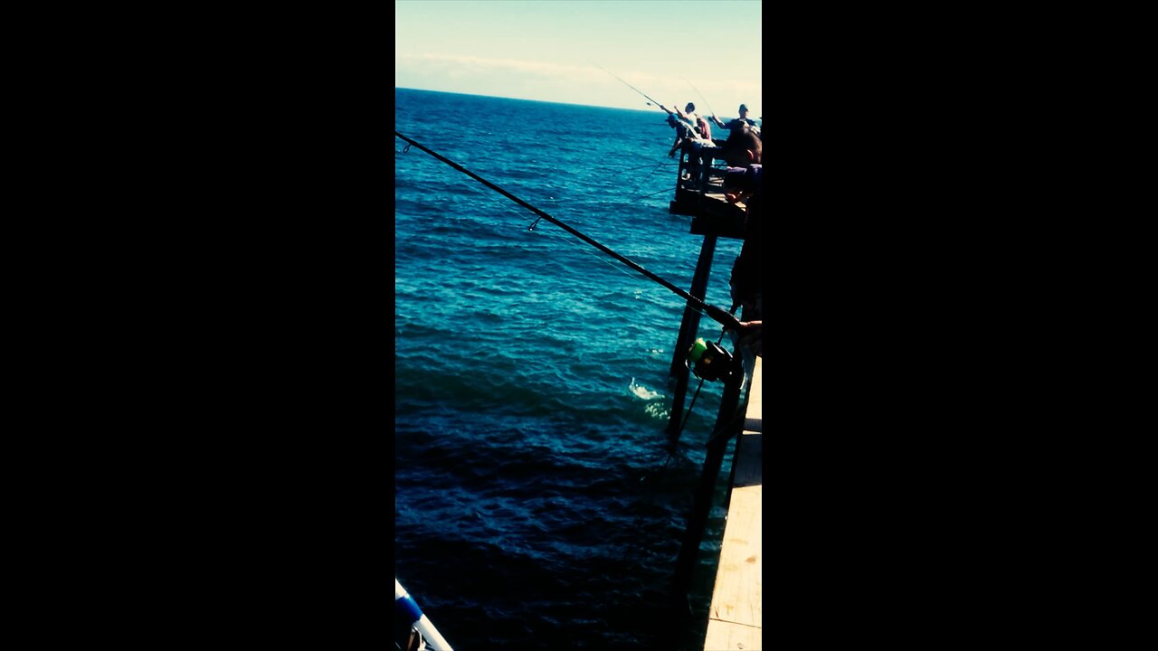 Bluefishing on an OBX pier