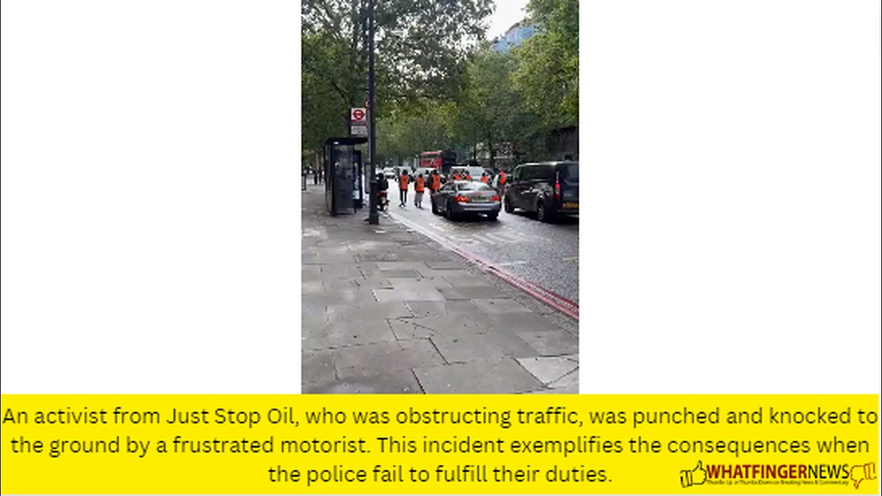 An activist from Just Stop Oil, who was obstructing traffic, was punched and knocked to the ground