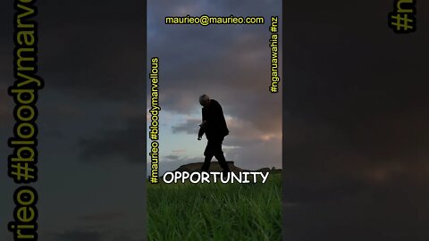 maurieo #shorts OPPORTUNITY DONT KNOCK TWICE
