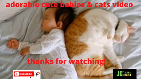 Adorable cute babies and cats!