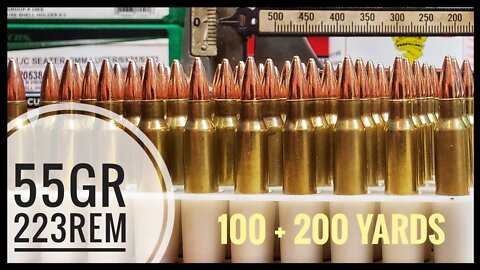 Shooting A Howa 1500 In 223 Remington With 55gr FMJs At 200 Yards After Getting Sighted In, Kinda