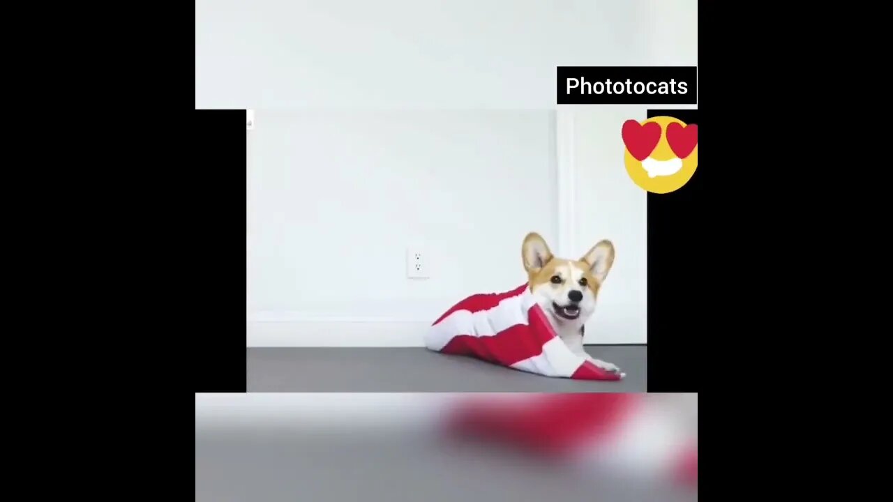 so happy...