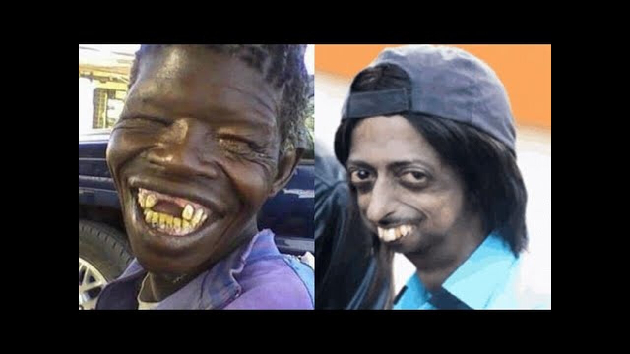 Try Not To laugh | Funniest Videos Ever | challenge