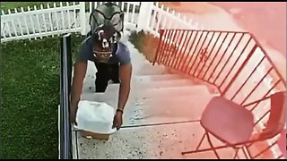 This Porch Pirate Probably Won't Be Stealing Again Any Time Soon