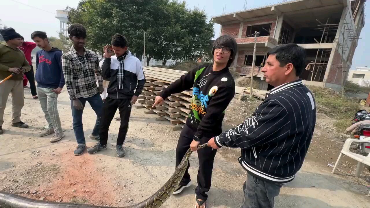 very big snake