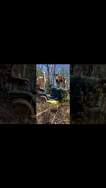 Family Bug Out Plan TESTED!