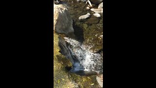 Slow Motion Creek