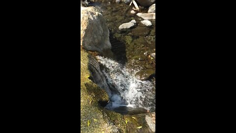 Slow Motion Creek