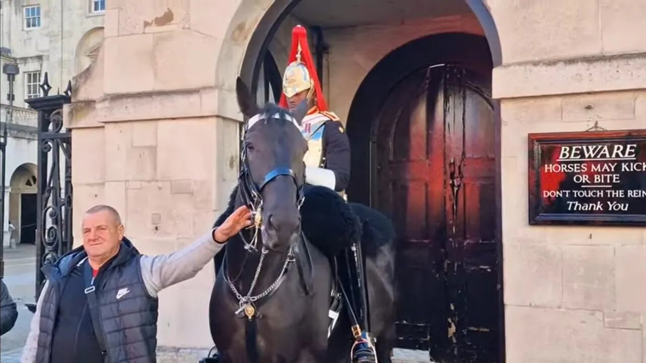 Some of these tourist are pushing their luck #horseguardsparade