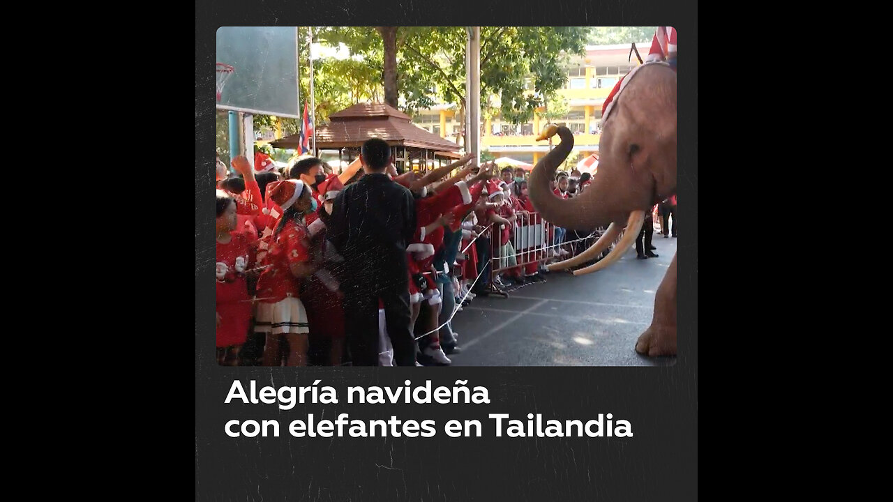 Elefantes vestidos de Santa sorprenden a niños en Tailandia