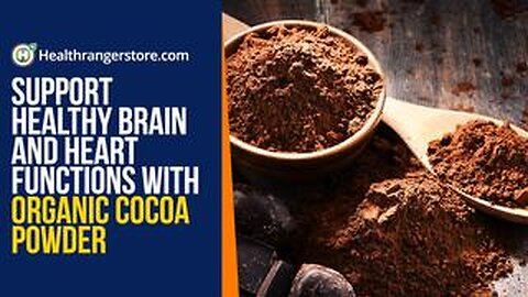 Support healthy brain and heart functions with Organic Cocoa Powder