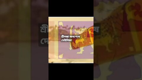 শ্রীলঙ্কা অবশেষে দেউলিয়া হয়ে খেলাপী