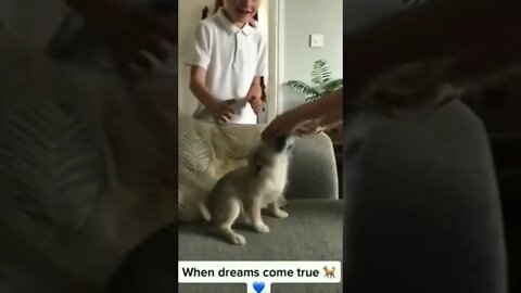 Only takes one minute to be able to tell this doggo’s life will be amazing