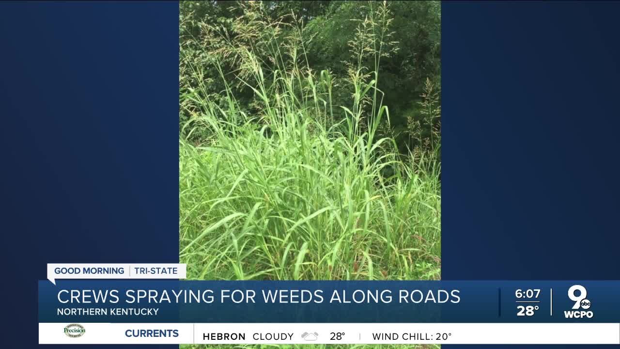 Crews spraying for weeds along roads