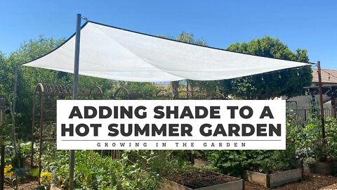 How we ADDED SHADE to our HOT SUMMER GARDEN: Growing in the Garden