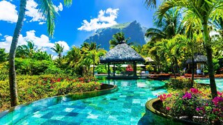 Beautiful Tropical Music - Tropical Juice Bar