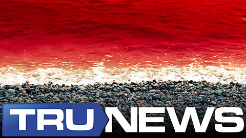 Black Sea Could Turn Red if NATO and Russian Navies Clash