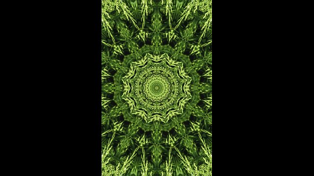 Green Kaleidoscope...