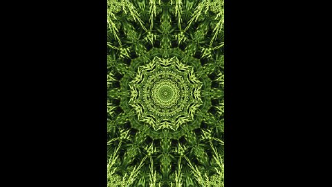 Green Kaleidoscope...