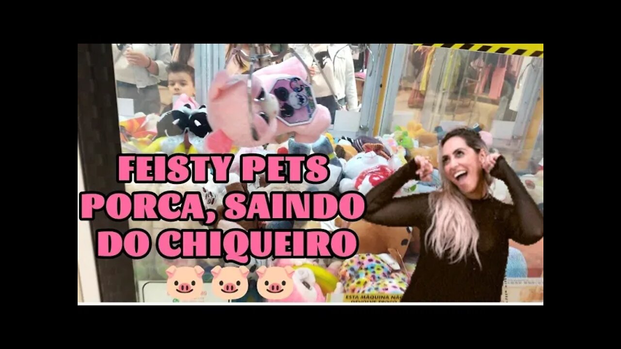 FEISTY PETS PORCA DANDO TRABALHO PARA VIR PRA CASA 👏🐷🐷👏