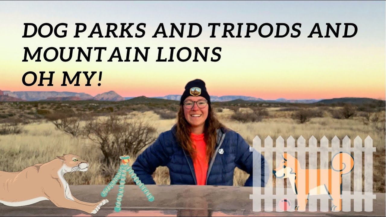 Dog Park | Tripod | RUNNING from MOUNTAIN LIONS | A day in the life of a nomad