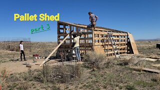 Pallet Shed Construction part 3