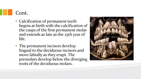 orthodontics L9 (deciduous and permanent dentition 3)