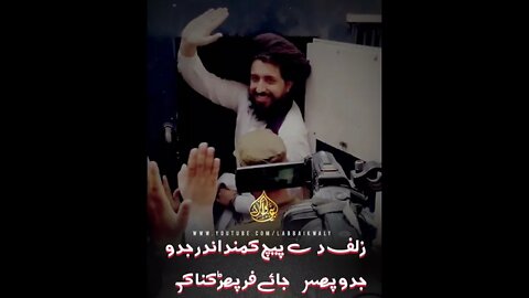 saad rizvi status