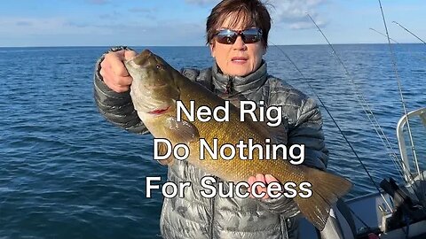 How to fish a Ned Rig with success. Do Nothng!