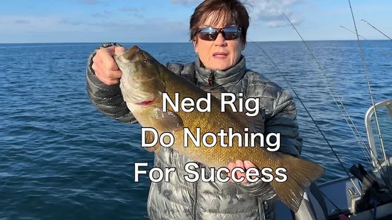 How to fish a Ned Rig with success. Do Nothng!