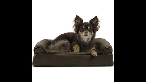 Review Furhaven Dog Beds for SmallMediumLarge Dogs & Cats - Orthopedic, Cooling Gel, Memory F...