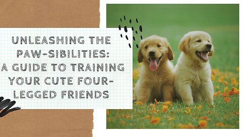 Unleashing the Paw-sibilities: A Guide to Training Your Cute Four-Legged Friends