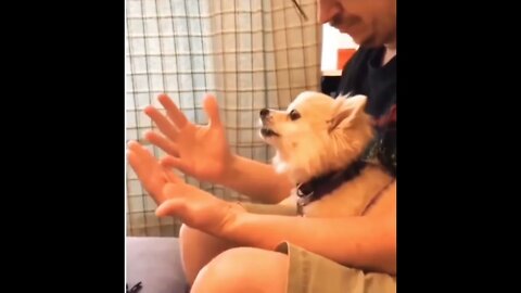 I’ve told you Carl I’m not a big fan of the voodoo. 😂🐶✏️💥 #shorts #shortsfeed #clips #shortvideo