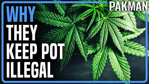 STUDY: Legalizing Marijuana Lowers Demand for Prescription Drugs