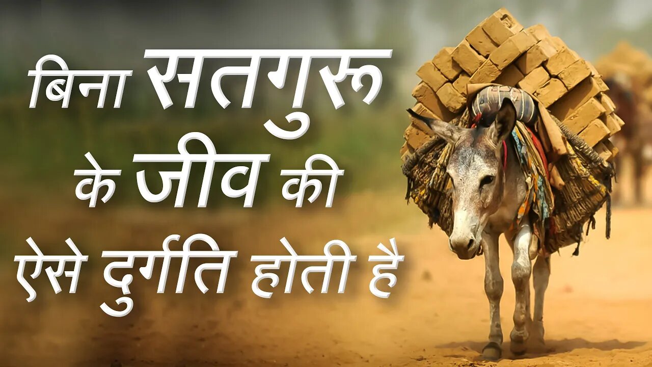 बिना सतगुरू के जीव की ऐसे दुर्गति होती है | Sant Rampal Ji Satsang | SATLOK ASHRAM