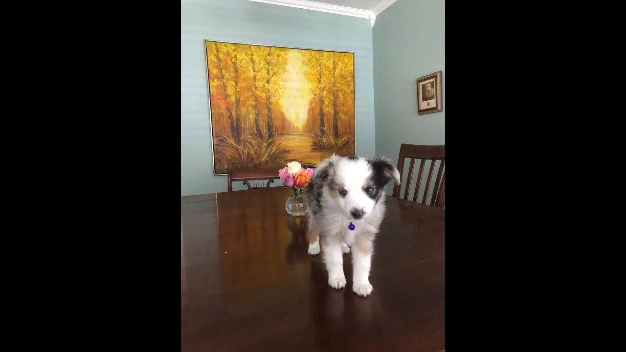 The Unmasked Bandits