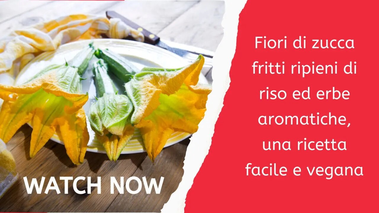 Fiori di zucca fritti ripieni di riso ed erbe, una ricetta facile-Công thức hoa bí xanh chiên