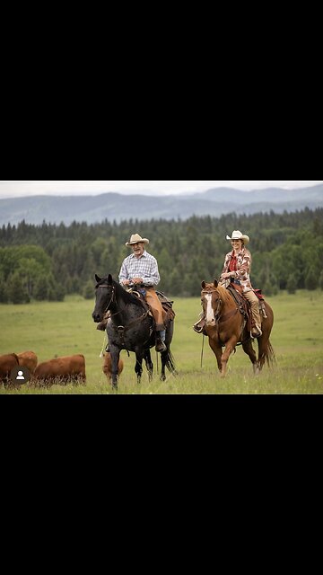 HEARTLAND SEASON 17 PREMIER SUNDAY, OCTOBER 1 ON CBC AND CBC GEM AT 7 LOCAL TIME