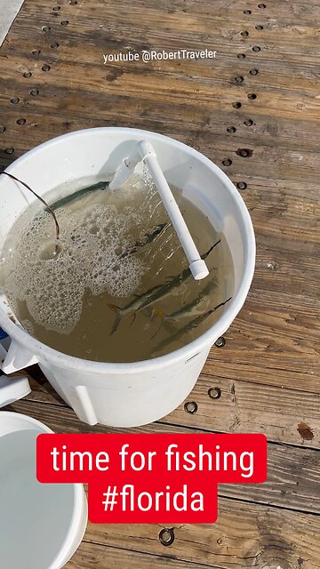 time for #fishing #florida #fish #robert #robertTraveler