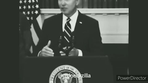 THE WISDOM OF JOE BIDEN