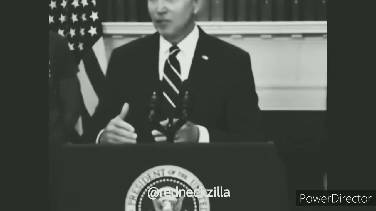 THE WISDOM OF JOE BIDEN