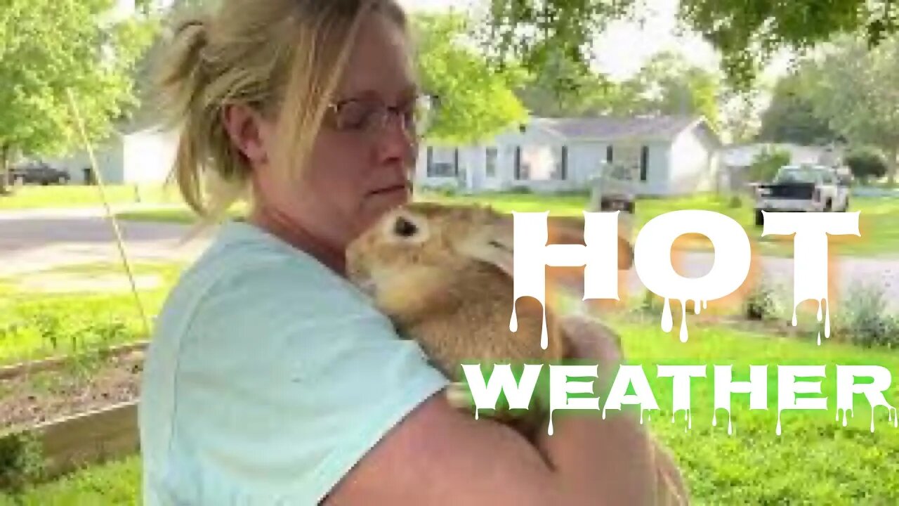 Raising Rabbits in the Heat | Sovereign Provisions